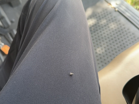 艾伯特公园高尔夫球场-墨尔本必去景点