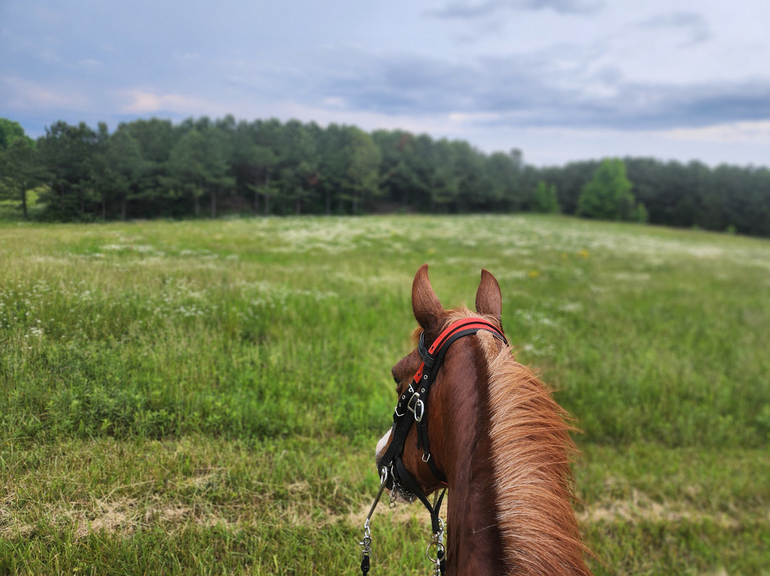 East Fork Stables-Jamestown必去景点