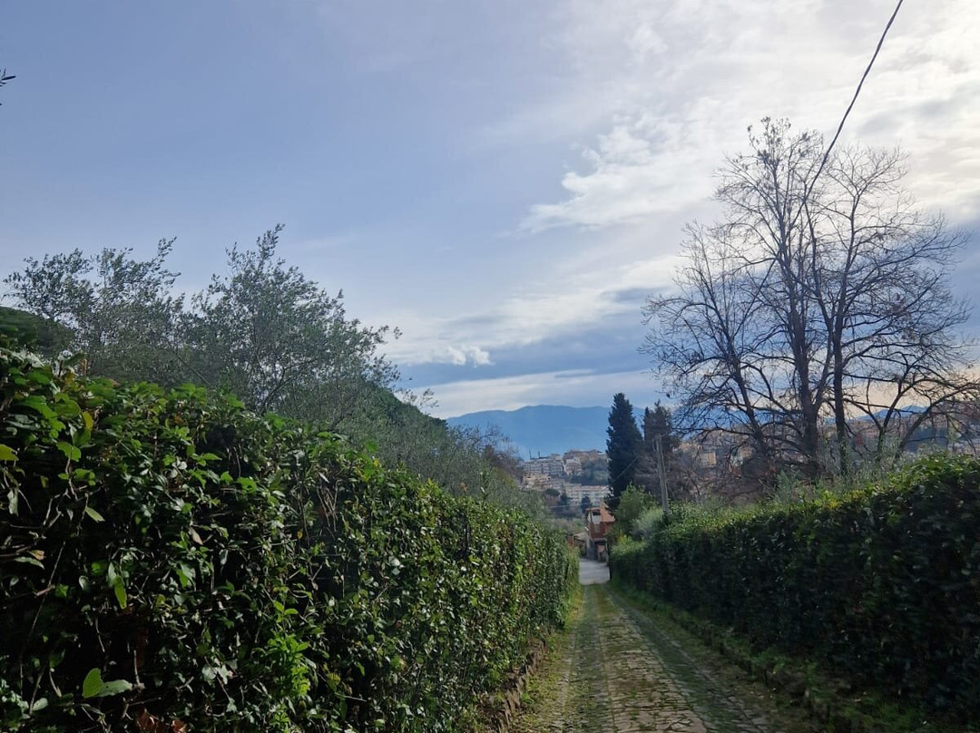 Vigna dell'Agrifoglio - Bed & Breakfast主图