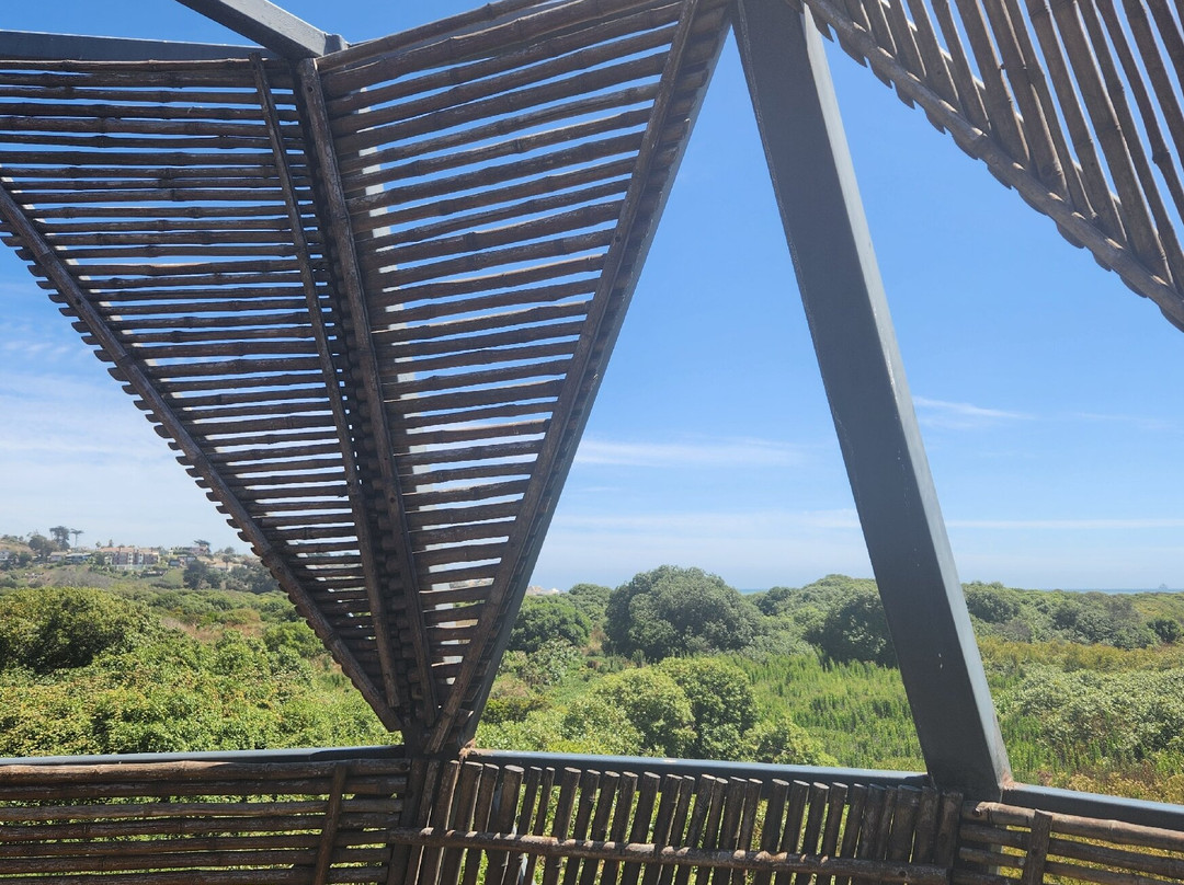 Parque Humedal Río Maípo