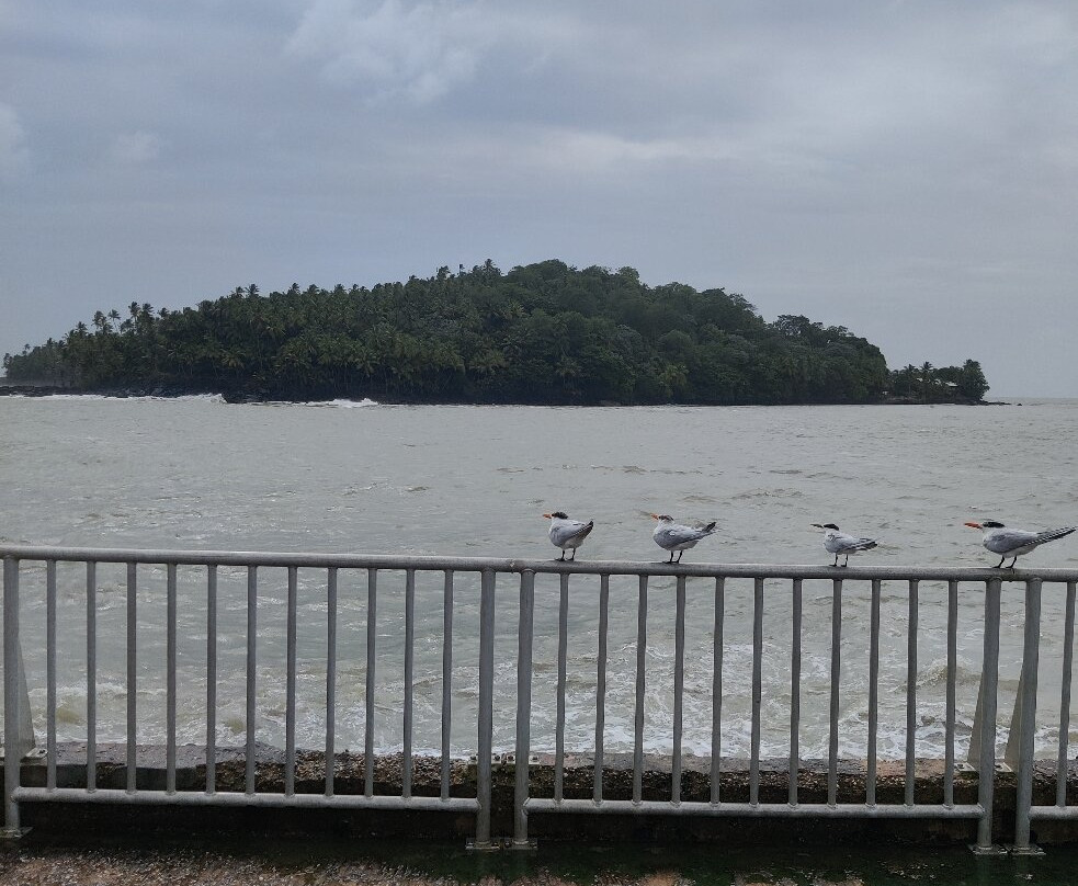 Tropic Alizes-Remire-Montjoly必去景点