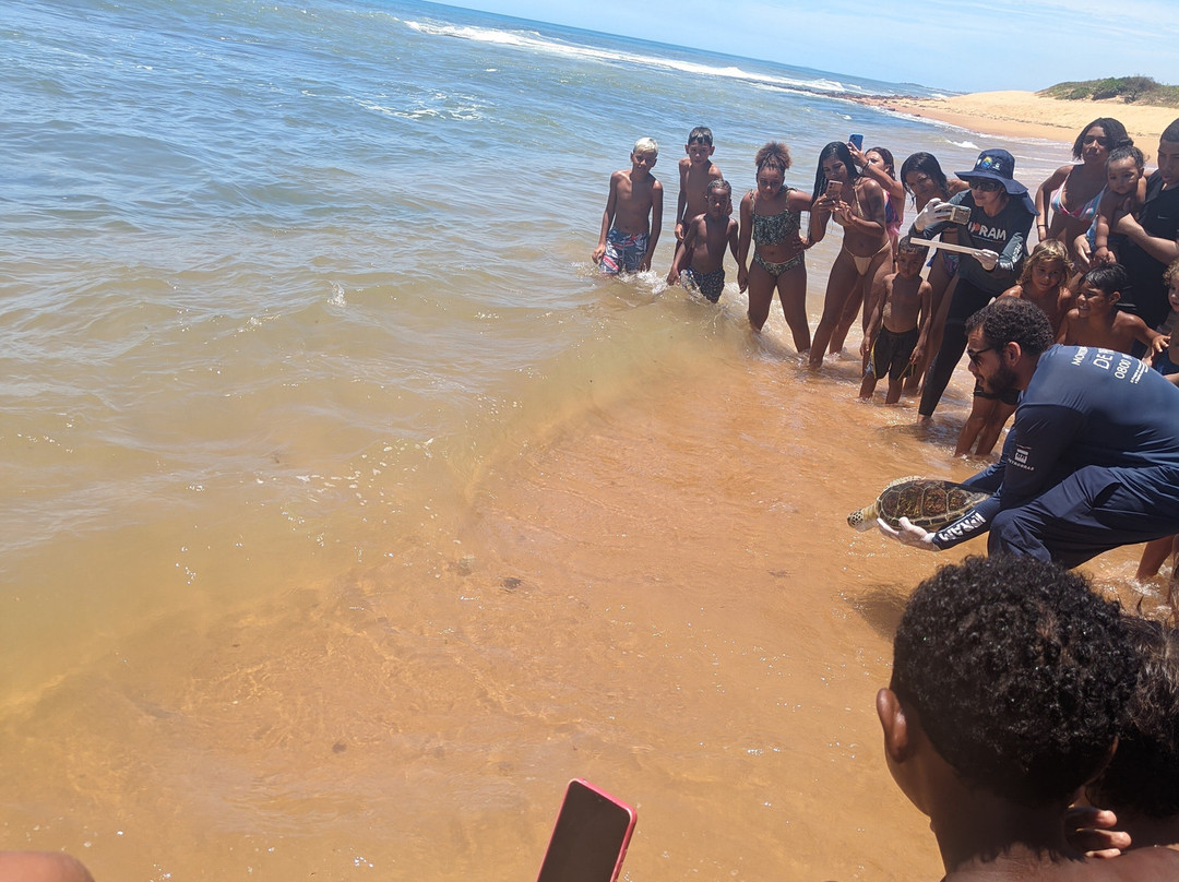 Praia dos Recifes景点图片