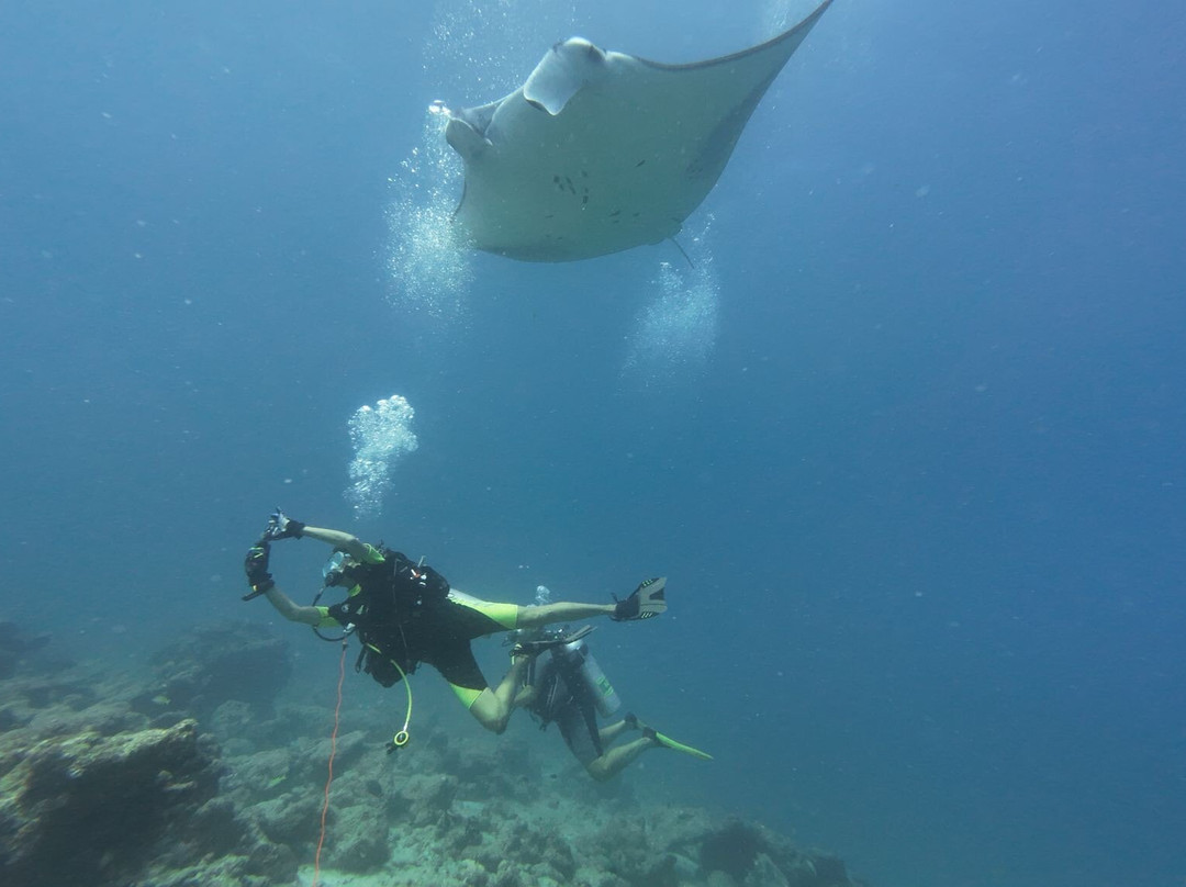 Reef Rangers Ukulhas景点图片