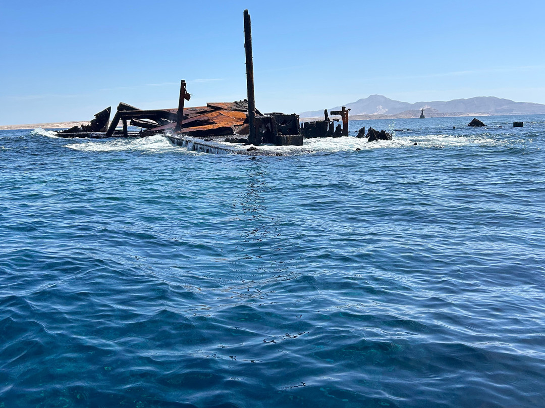 Bob Tours-沙姆沙伊赫必去景点