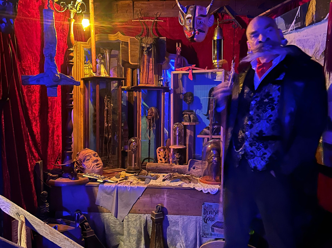 Pexcho's American Dime Museum-奥古斯塔必去景点