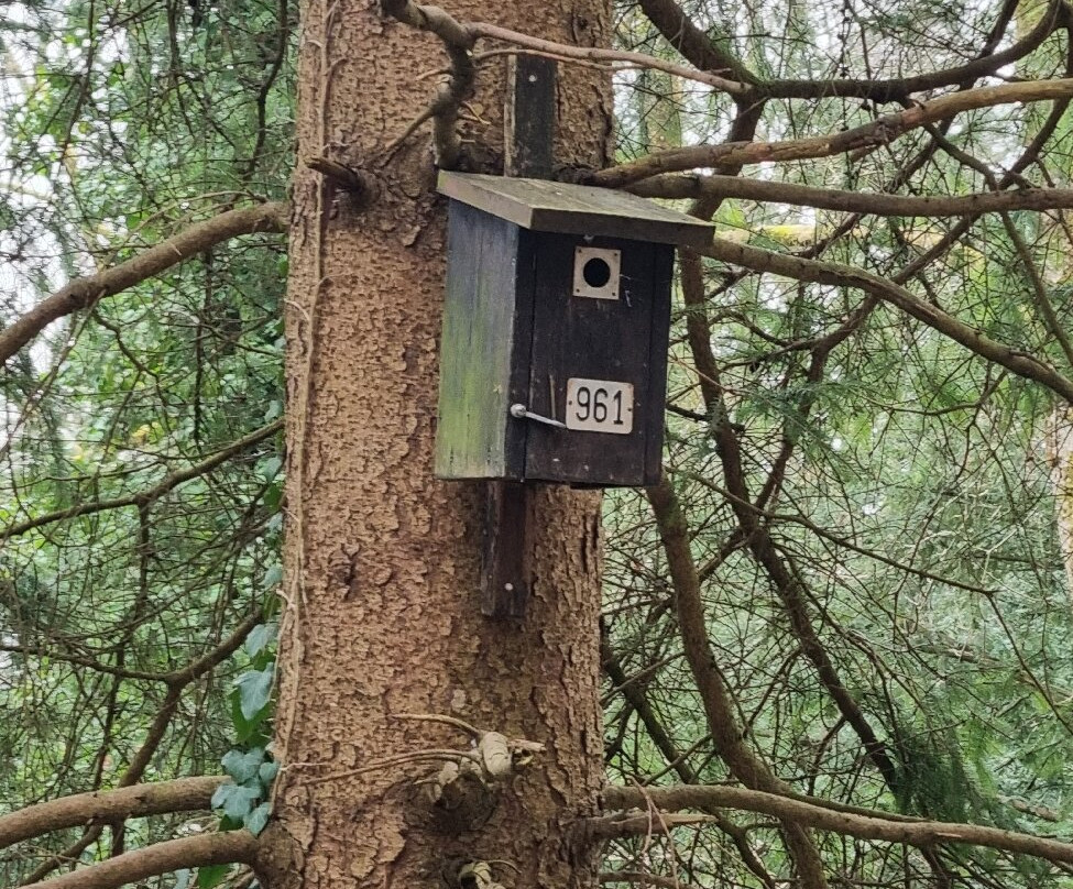 Wildnispark Zurich Langenberg-Langnau am Albis必去景点
