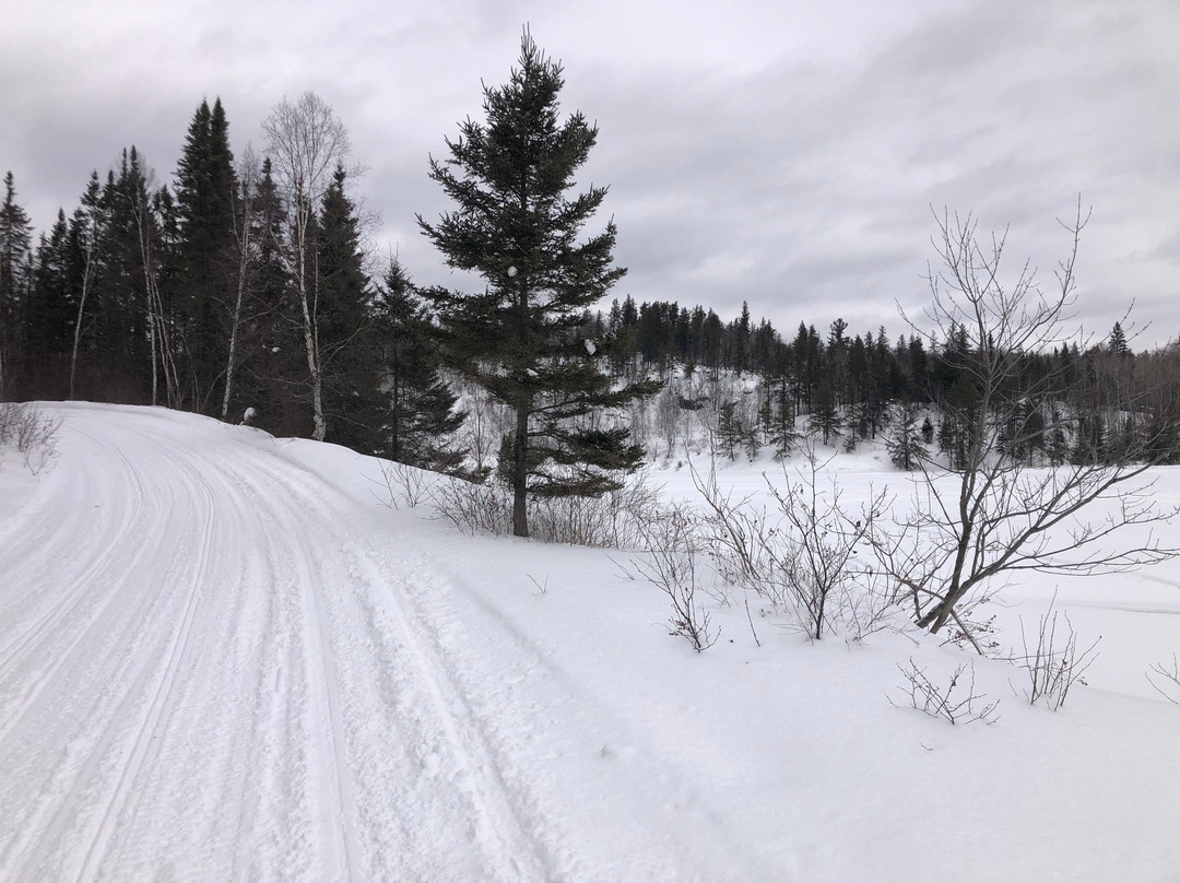 The Hacienda Bed and Breakfast主图