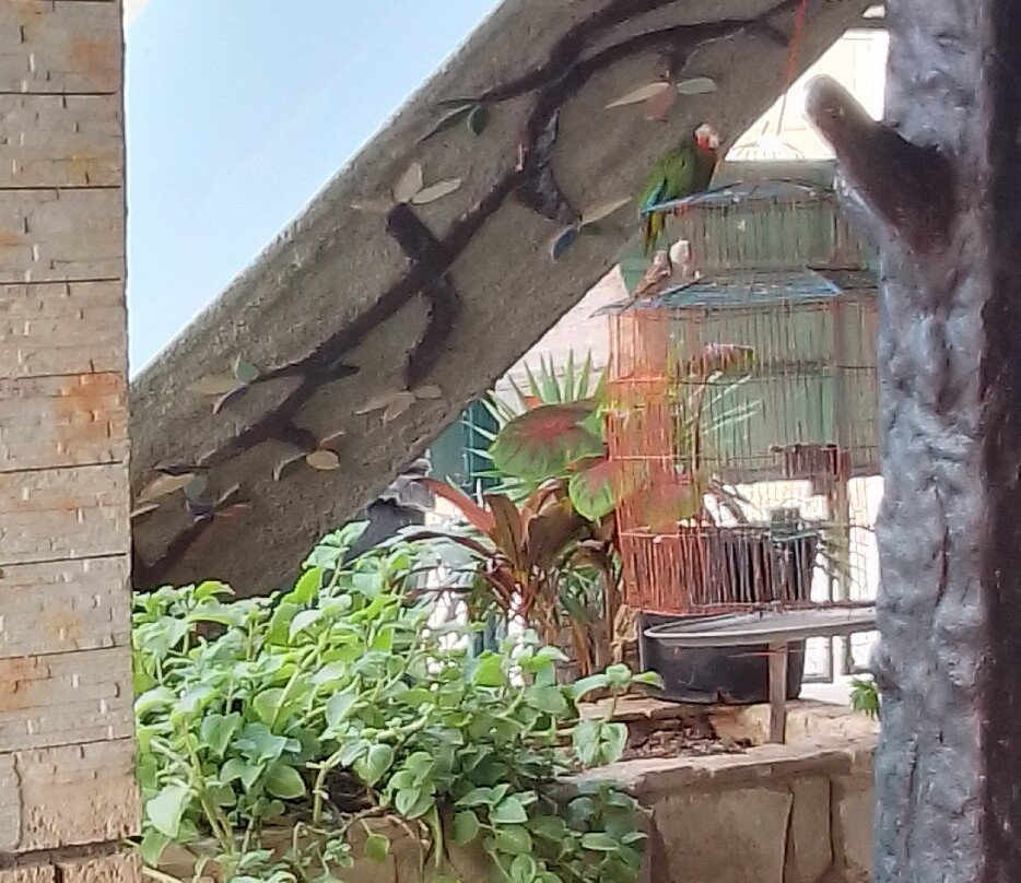 Casa Valido y Surami主图