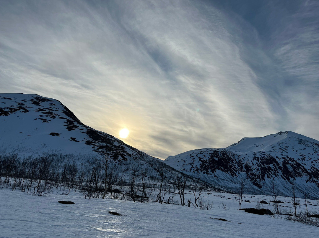 Active Tromsø-特罗姆瑟必去景点