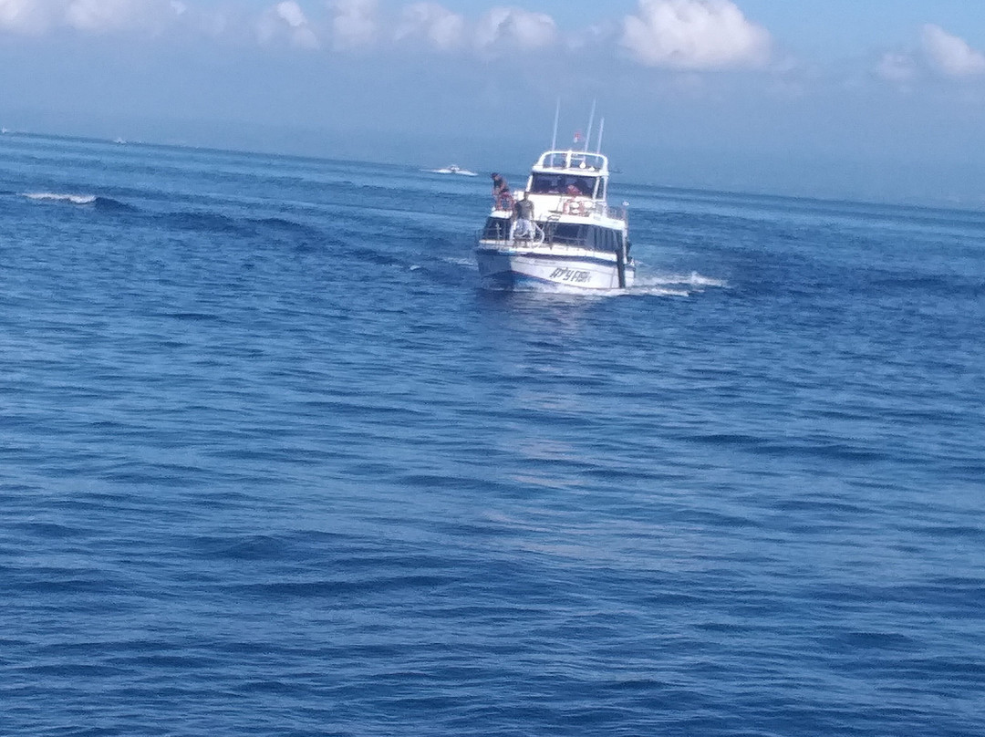 Ray Fish Fast Cruises-Sanur Kauh必去景点