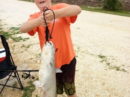 Steve's Farm-Walnut Hill必去景点
