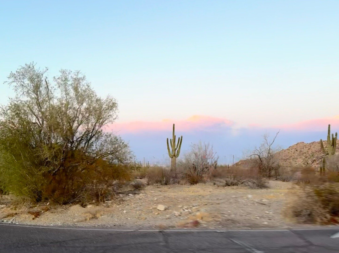 Dobbins Lookout-凤凰城必去景点
