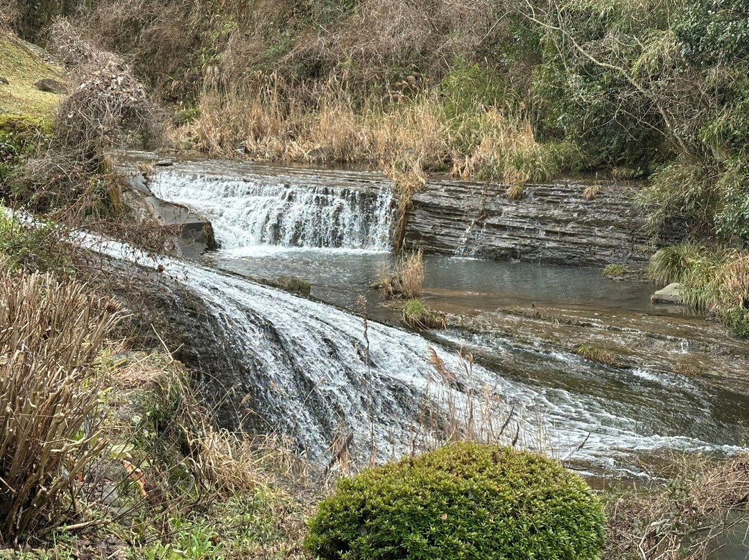 Yushuku no Hiroba (Ashi Yu Mushi Yu)-嬉野市必去景点