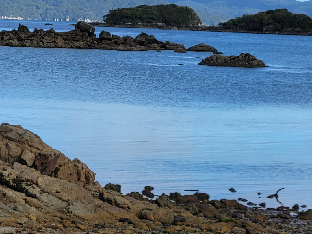 Ulva Island景点图片
