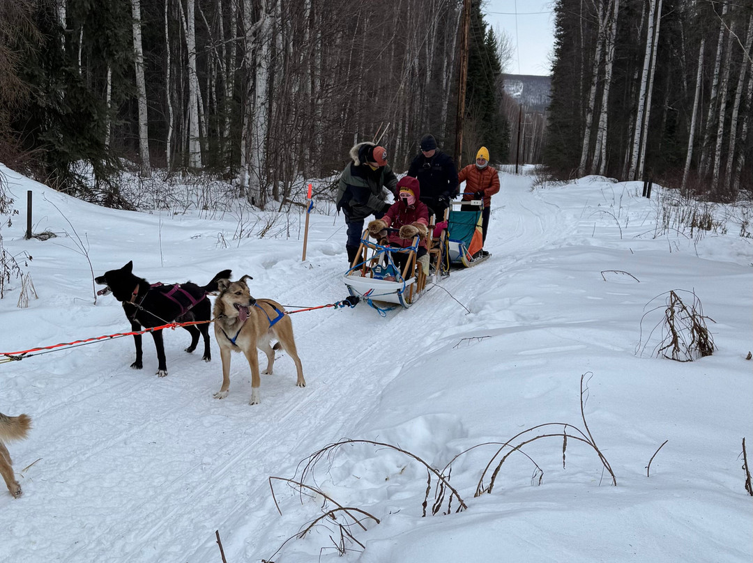 Cotter's Sled Dog Tours景点图片