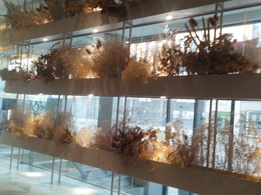 ibis Kaunas Centre主图