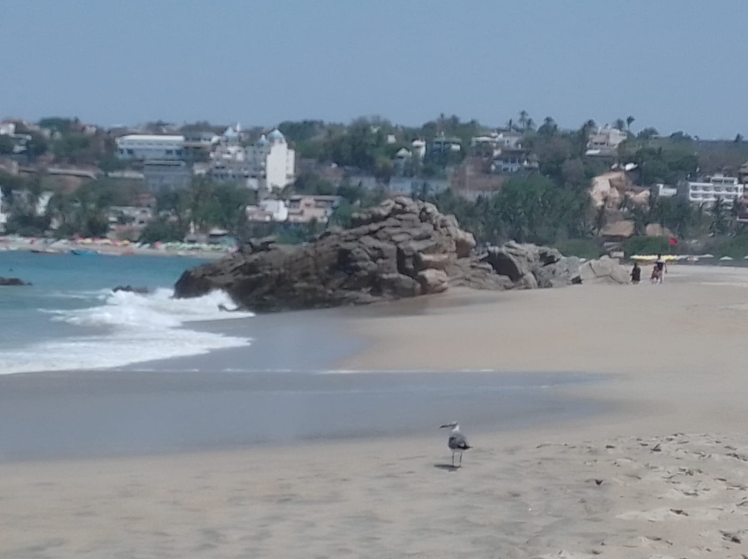 Playa Zicatela-Brisas de Zicatela必去景点