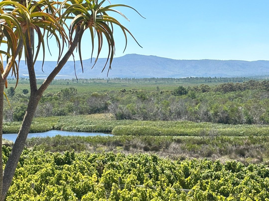 Zoetendal Vineyards & River Estate-Elim必去景点