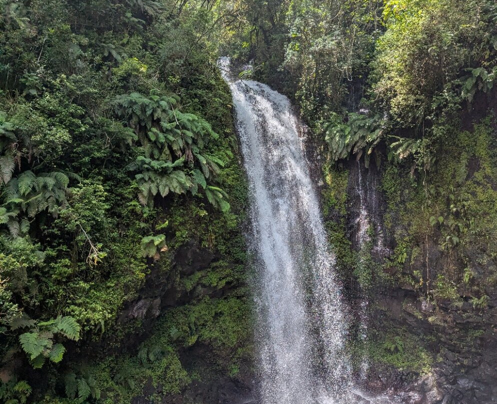 Dodi's Lemur Tours-Tolanaro必去景点