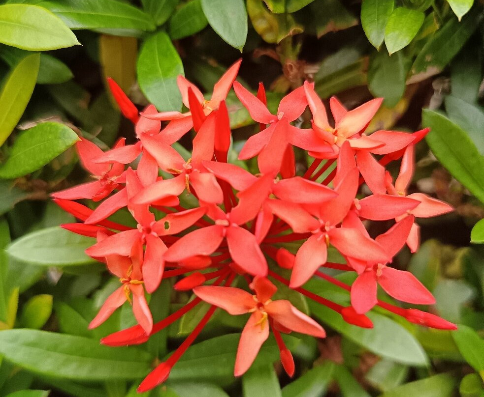 Yaba Chigui Lodge主图