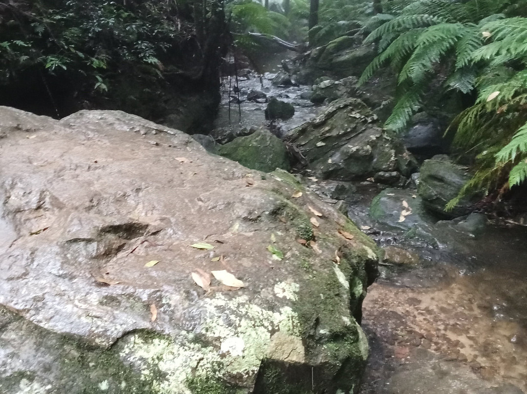 Pool Of Siloam景点图片