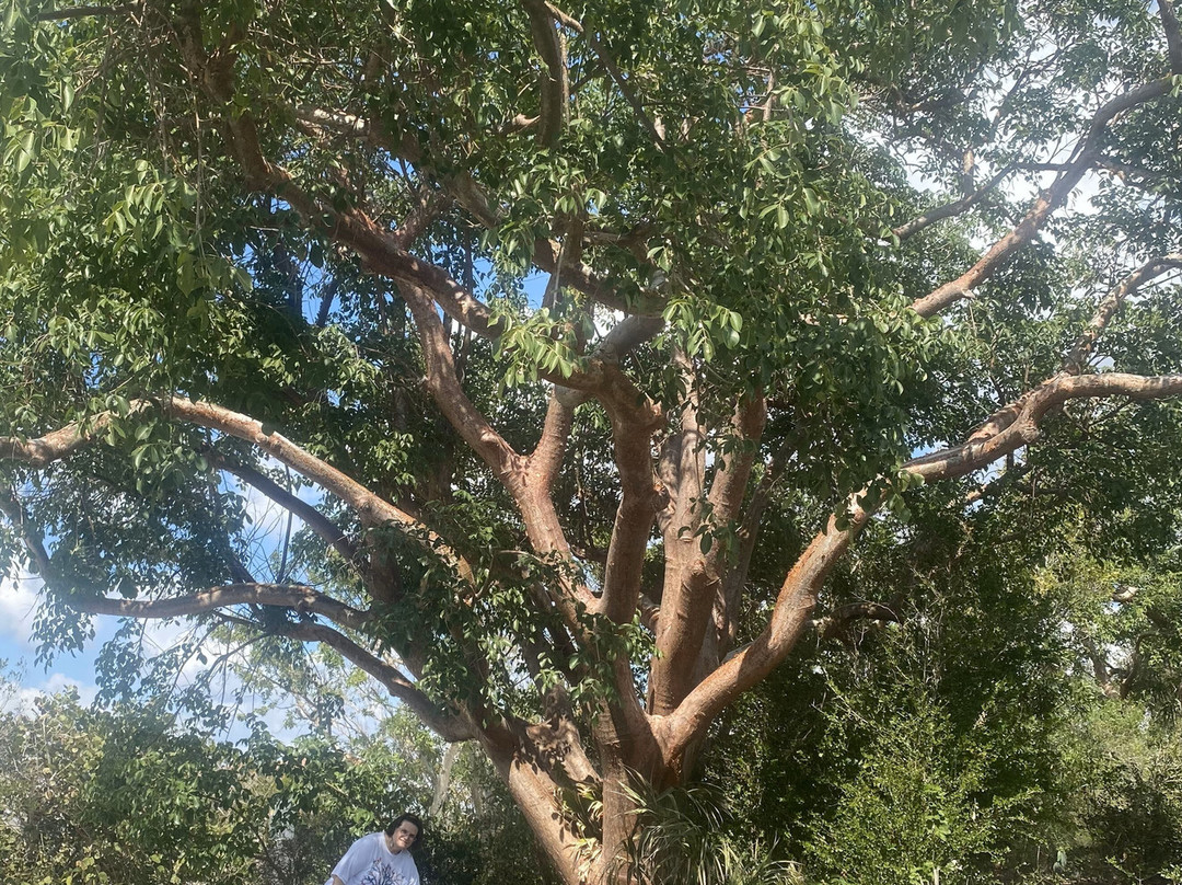 Mound House-迈尔斯堡海滩必去景点