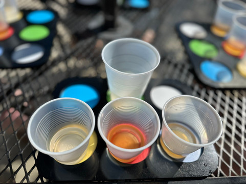 Island Food Tours-拿骚必去景点