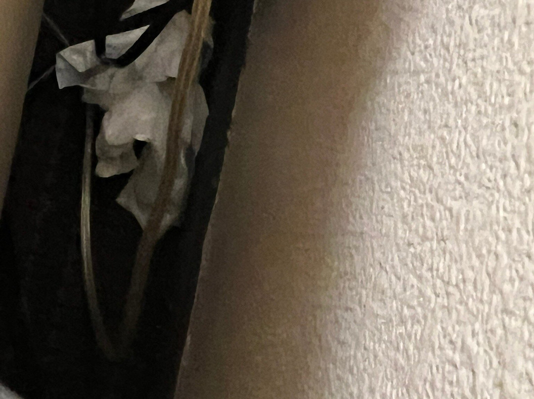 普韦布洛/北希尔顿恒庭旅馆及套房酒店主图