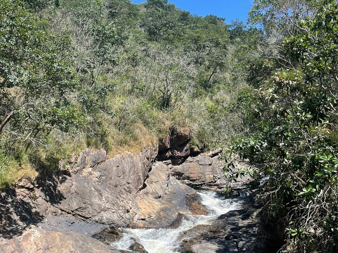 Parque Estadual Mata do Limoeiro景点图片