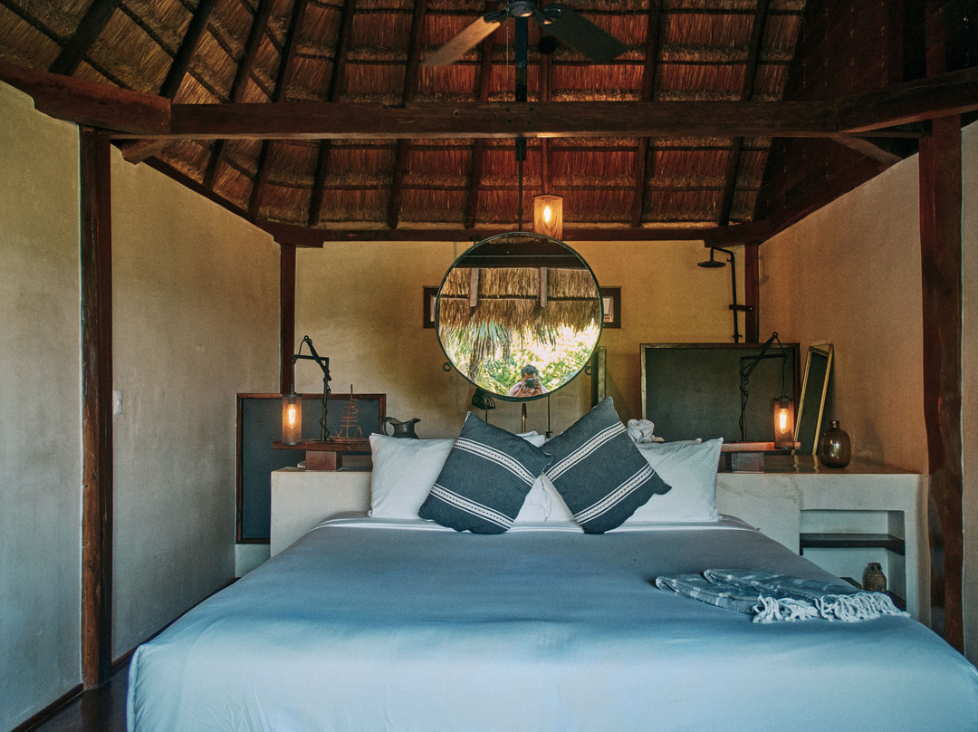 Libelula Tulum主图