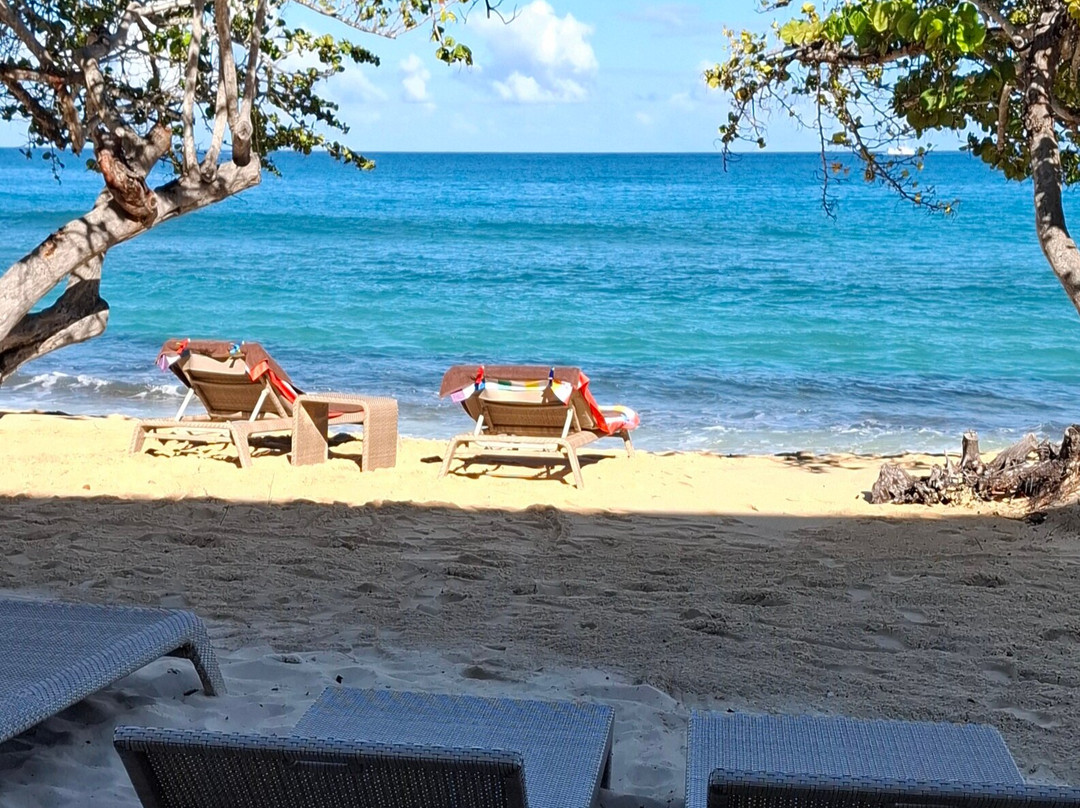 Royalton Grenada Beach景点图片