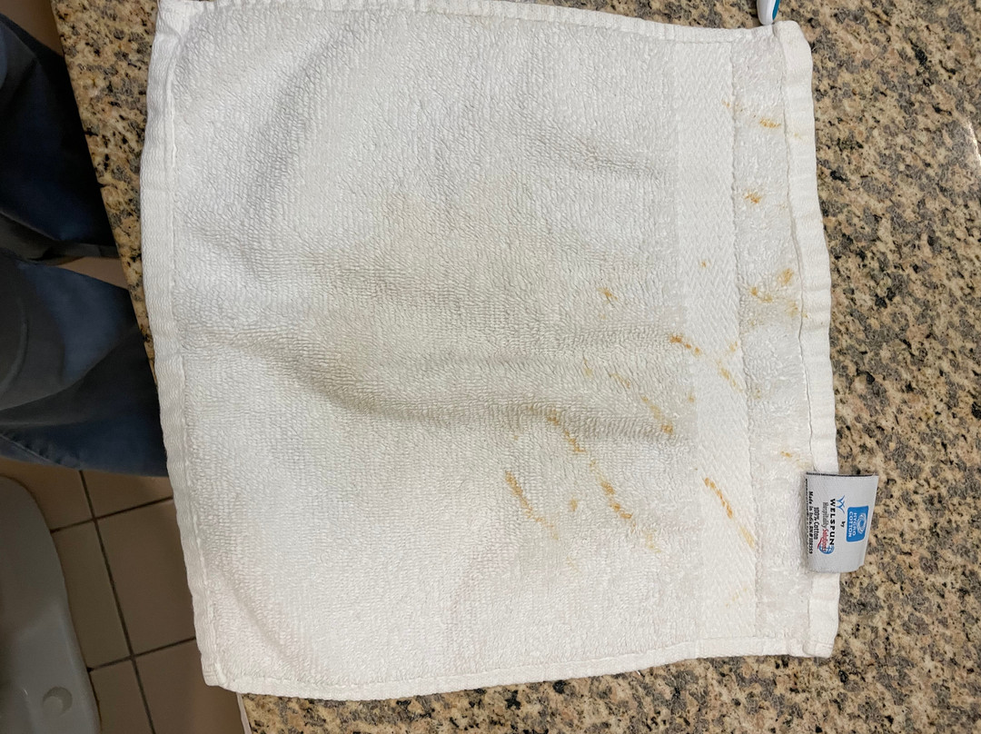 Baymont by Wyndham Albany主图