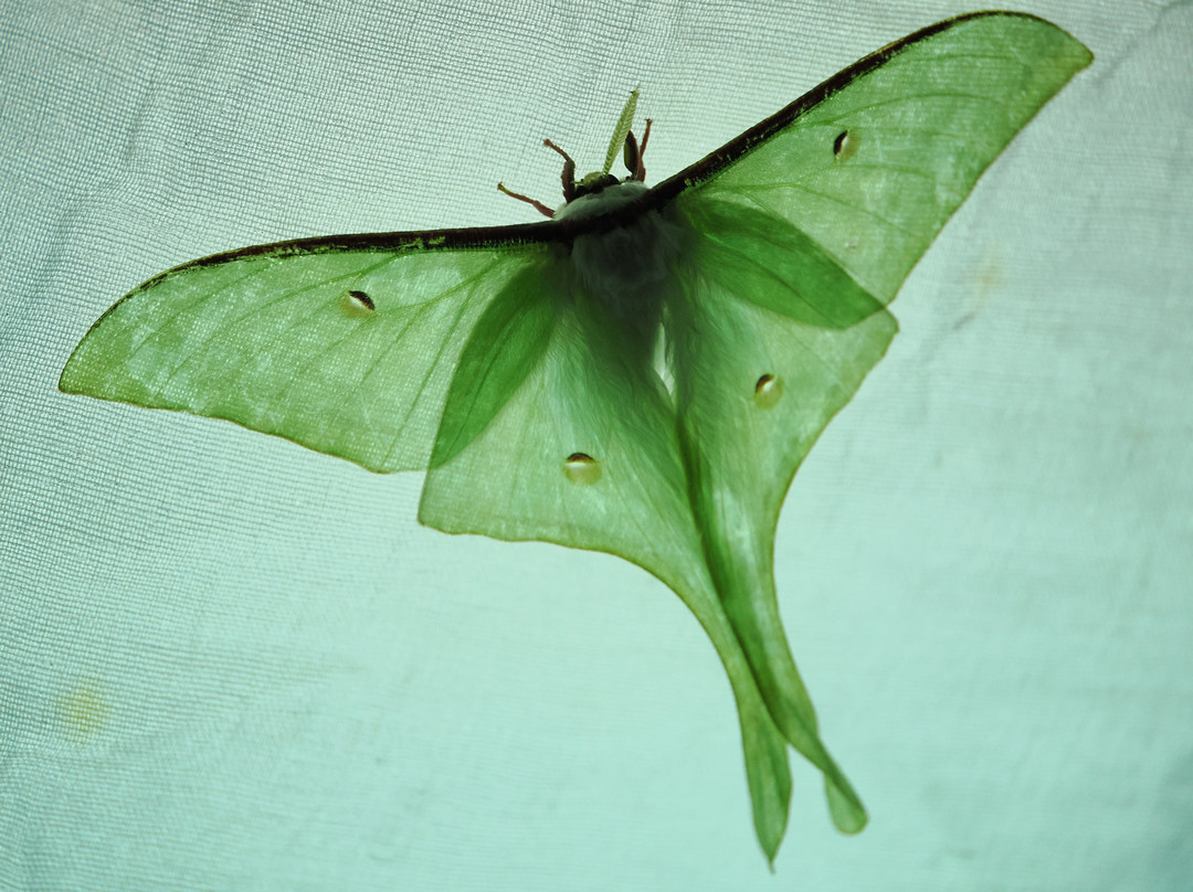 大老岭-宜昌市必去景点