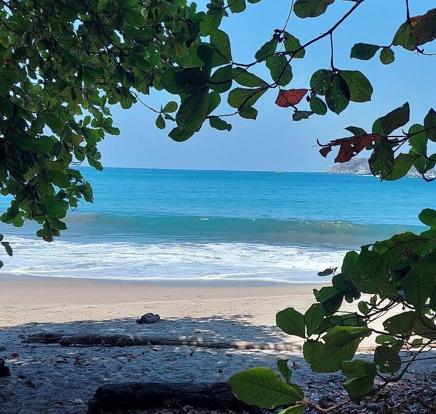 Manuel Antonio Expeditions景点图片
