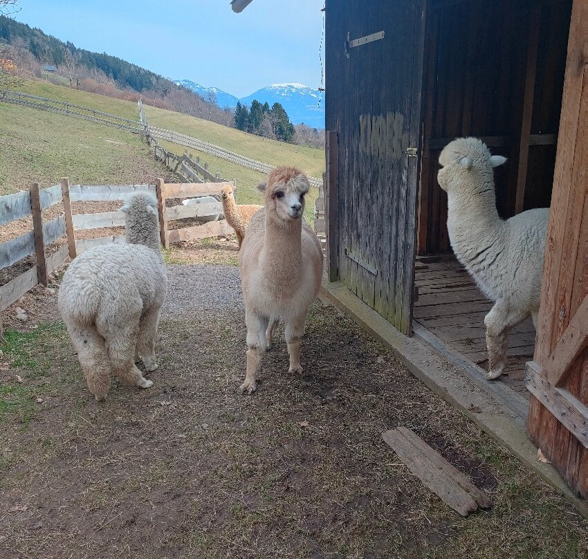 Pension Stauder主图