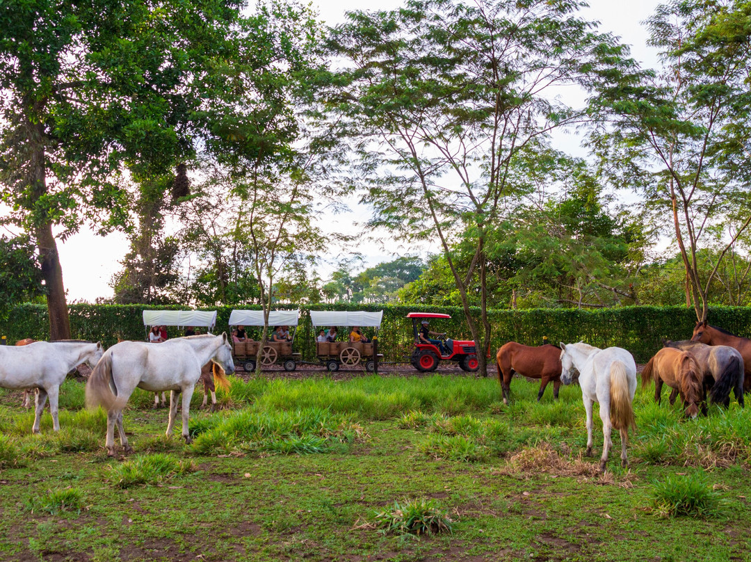 Hotel Campestre La Potra主图