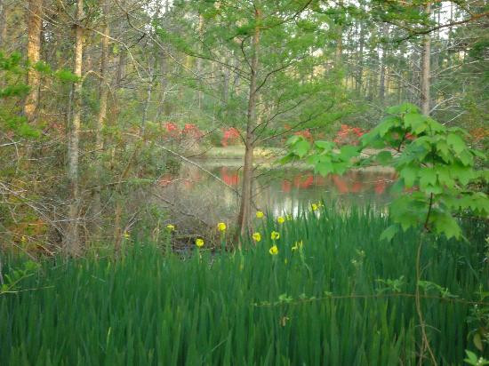 Abita Springs Be and Be