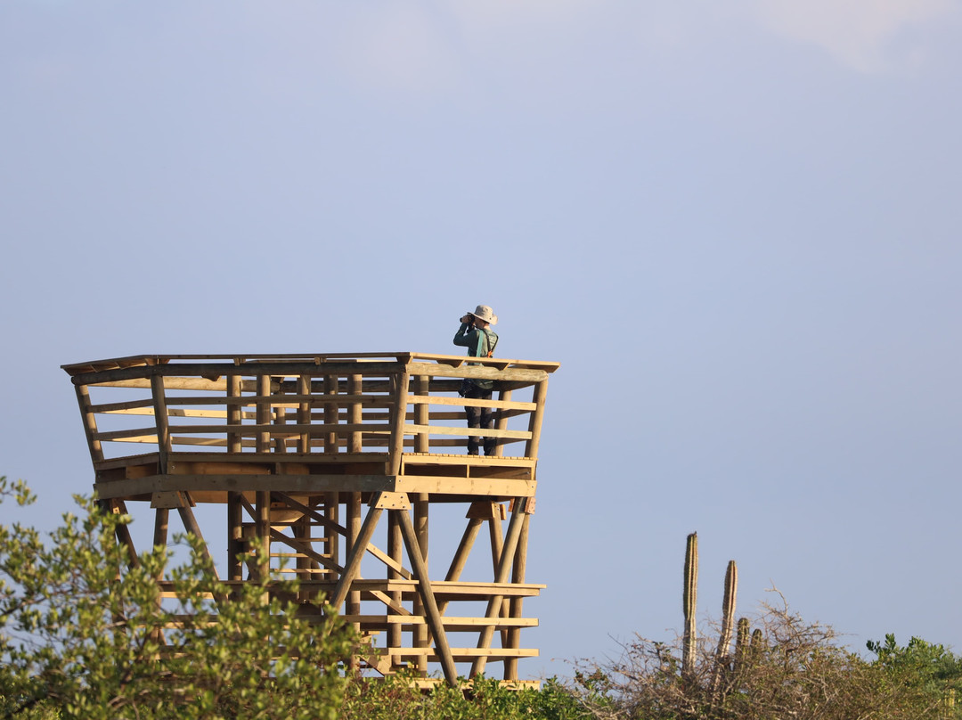 Awatawaa Ecolodge主图