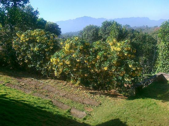 Hill View Homestay主图