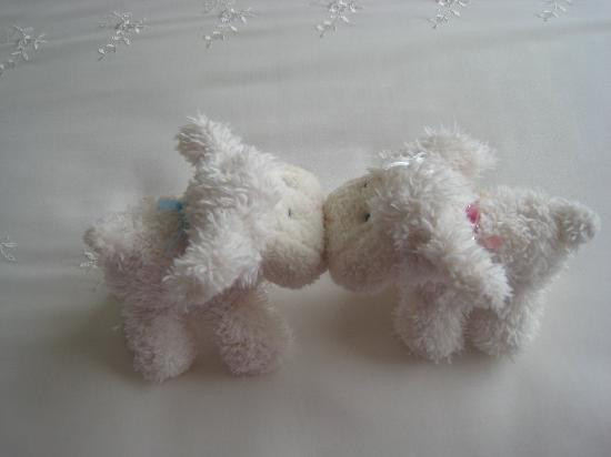 Homestay at Evans Bay主图