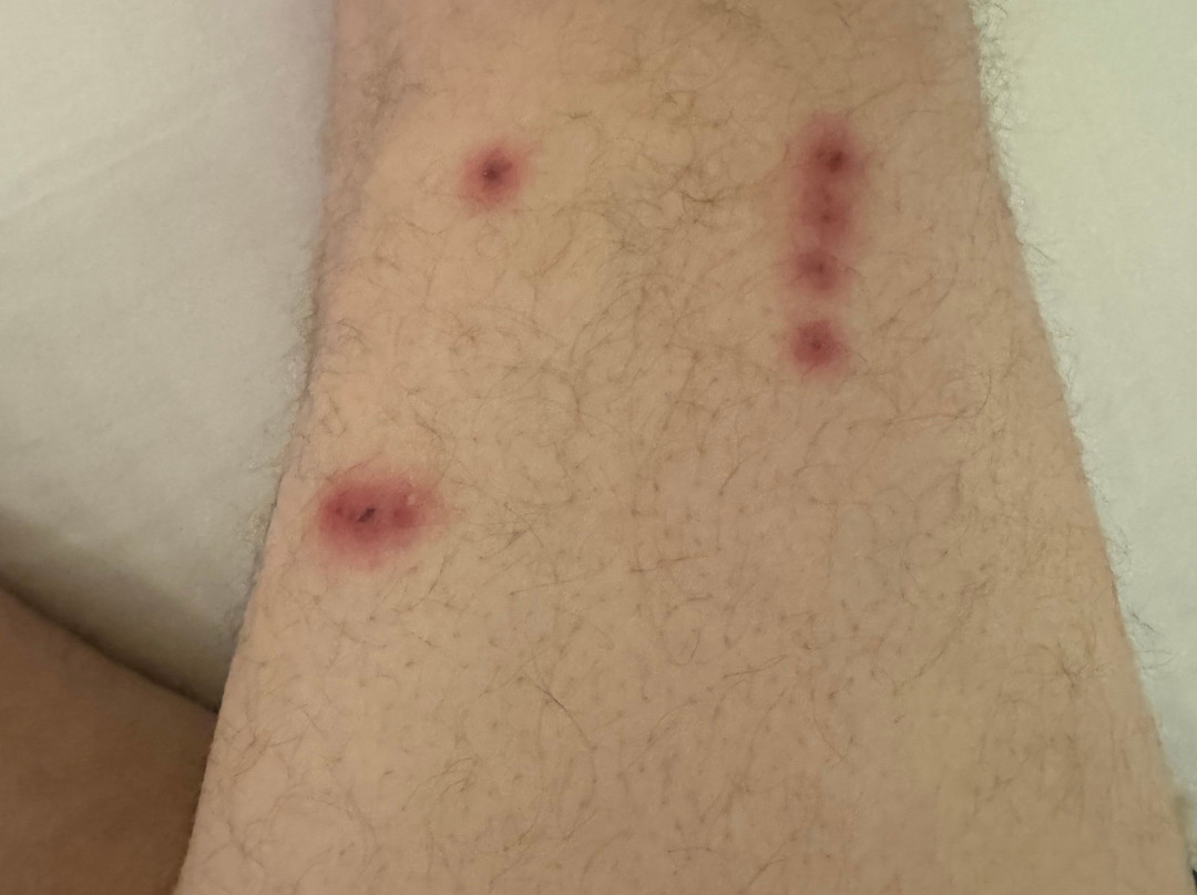 Econo Lodge Inn & Suites Drumheller主图