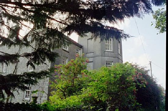 The Dower House Bed & Breakfast-客卧