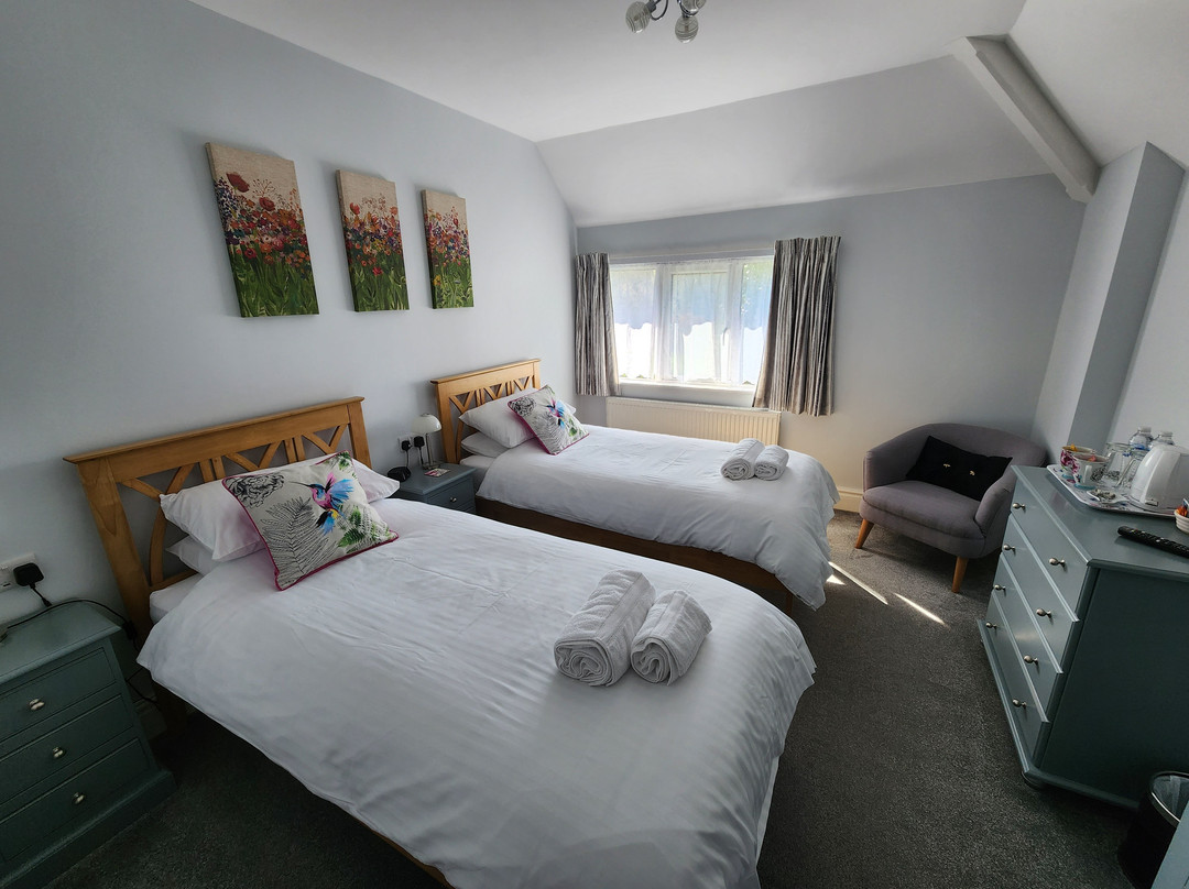 The Beehive Guest House主图