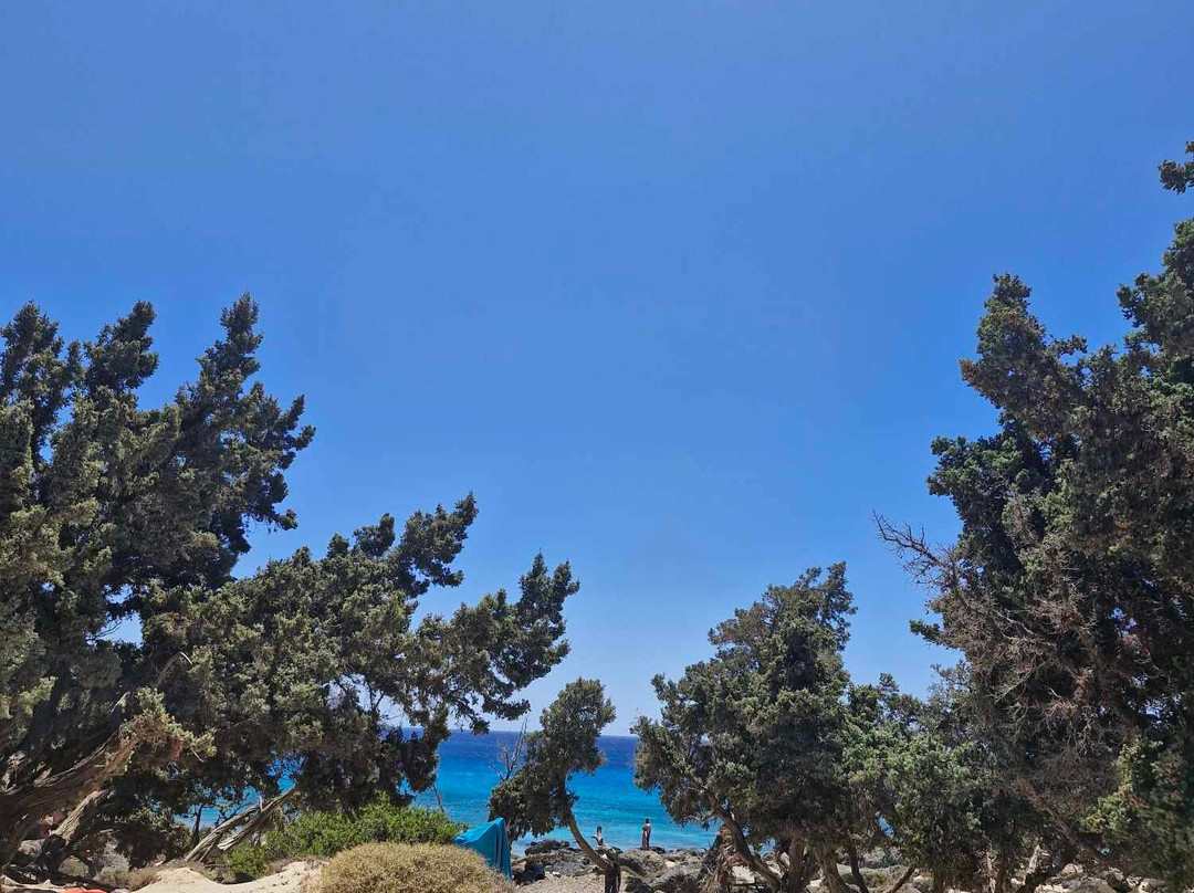 Kedrodasos Beach景点图片