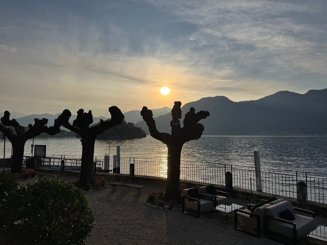 Musa Lago Di Como主图