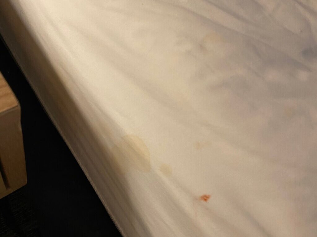 Mulberry, A Wyndham Hotel主图