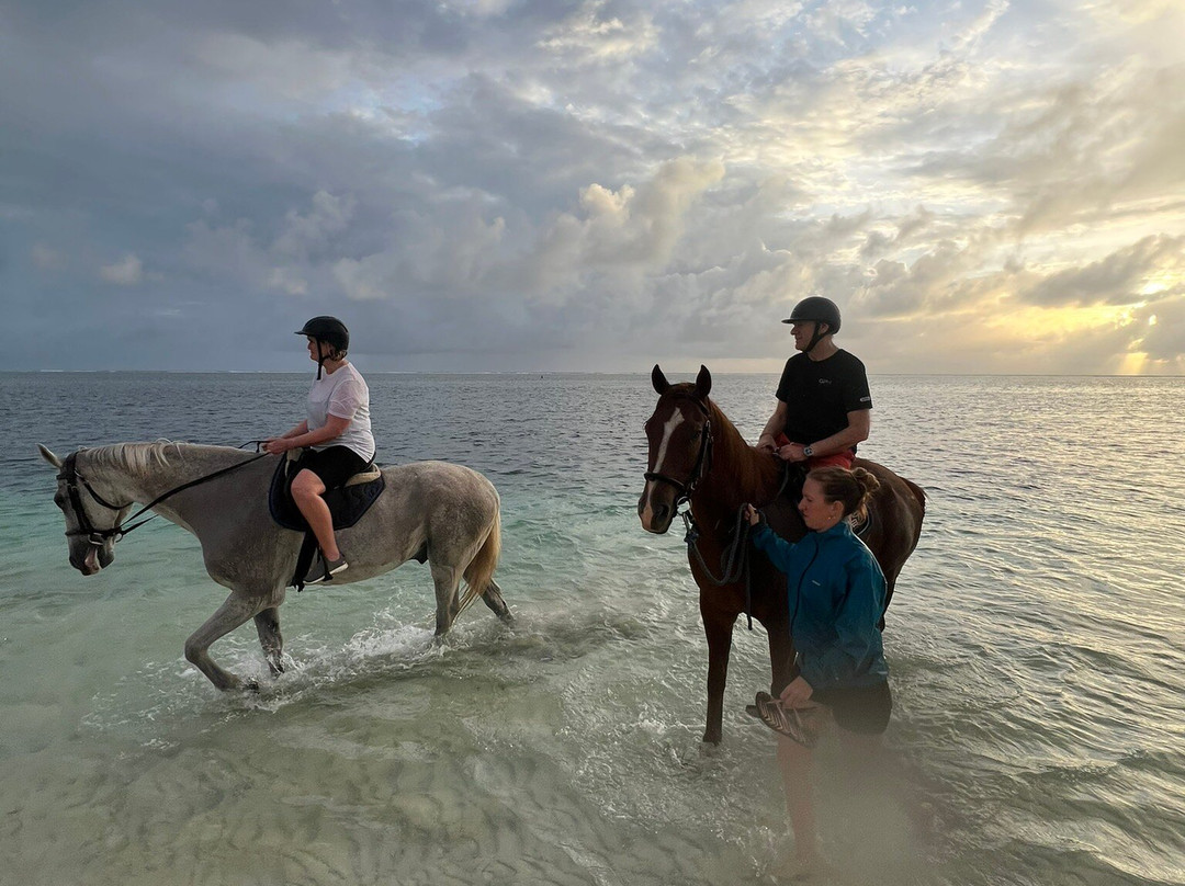 Legasea Stables Mauritius-Quatre Cocos必去景点