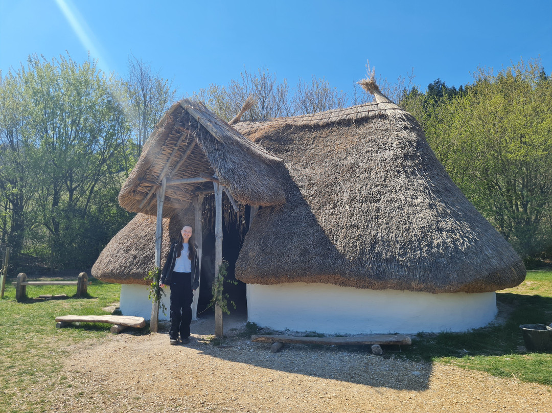 Butser Ancient Farm景点图片