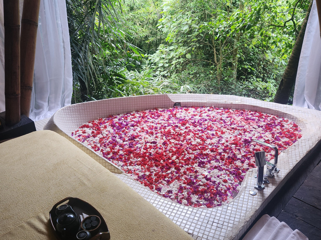 Mekar Jungle Spa Ubud Bali By K Club景点图片