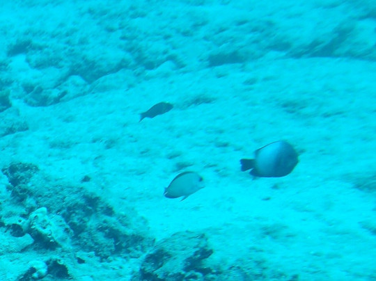 Makai Expeditions-考普雷必去景点